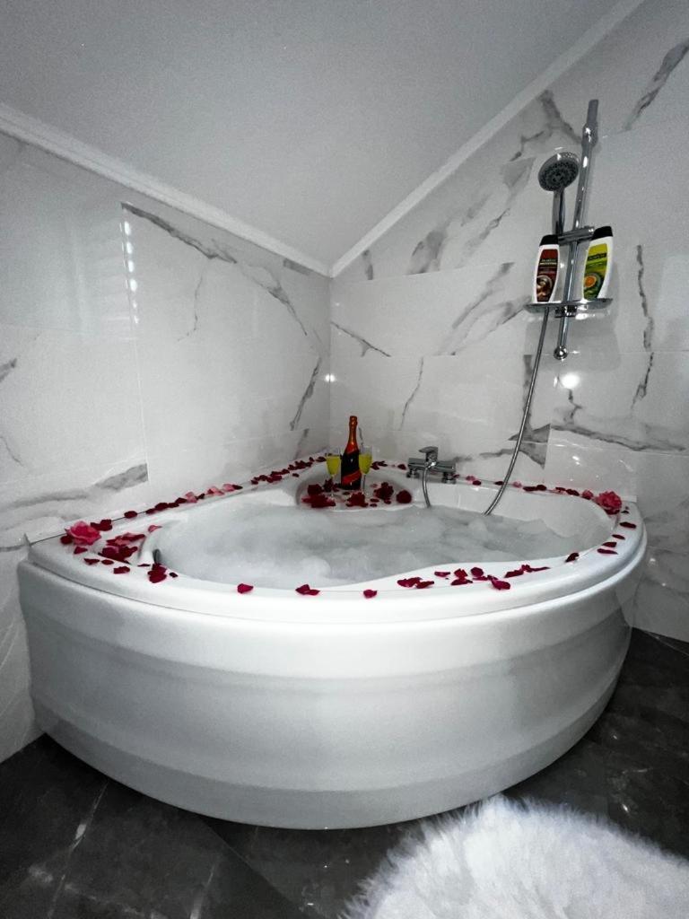 Luxury Apartment Megy Otočac Eksteriør bilde