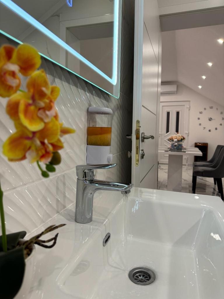 Luxury Apartment Megy Otočac Eksteriør bilde