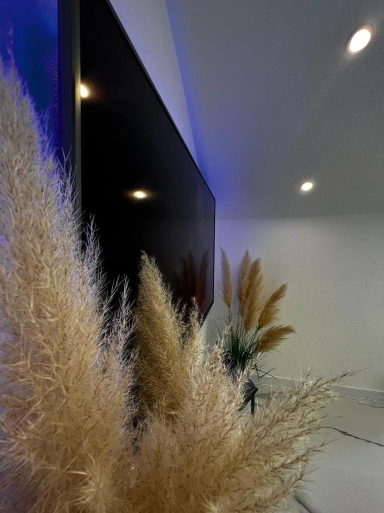 Luxury Apartment Megy Otočac Eksteriør bilde